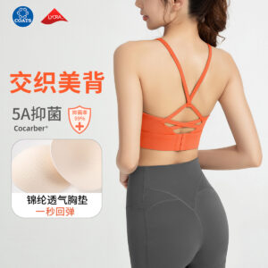 cross border new antibacterial sports bra women's nude shock absorbing yoga vest cross beauty back gathered fitness bra